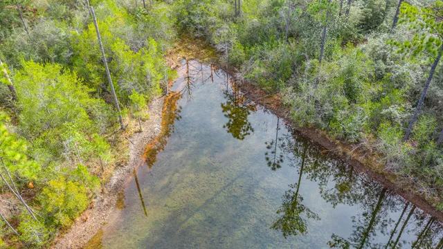 a view of a pathway with a yard