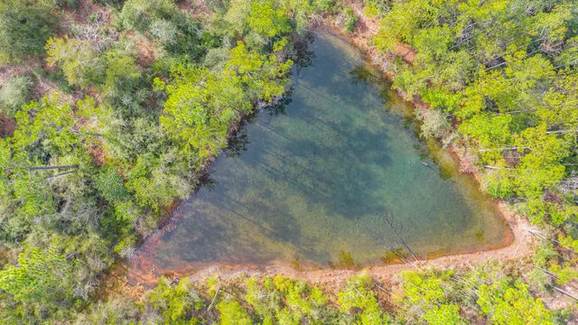 a view of a pathway both side of yard