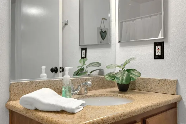 a close view of sink and potted plant