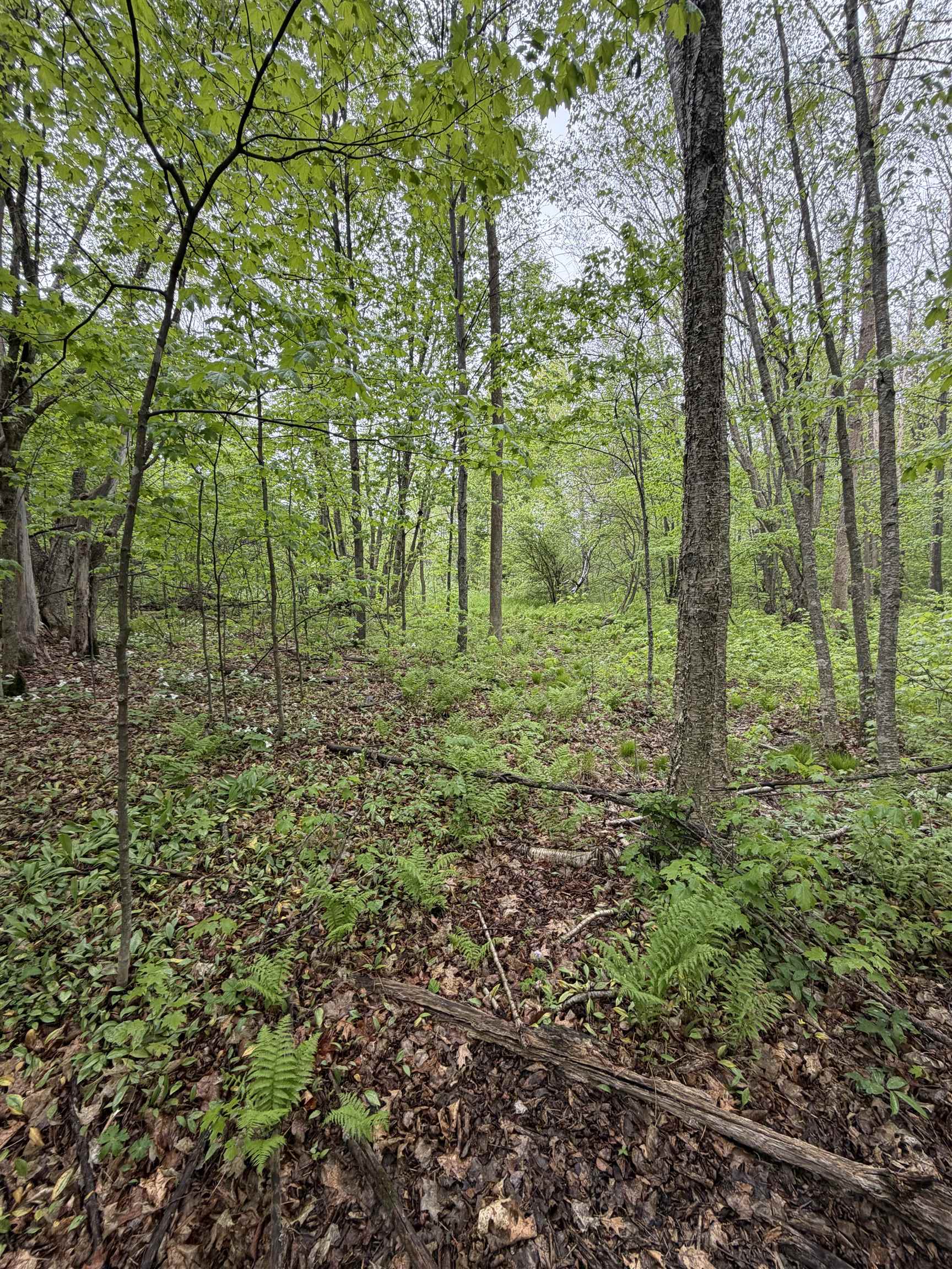 5755 350th Street Stanley, WI 54768 - Photo 14 of 16