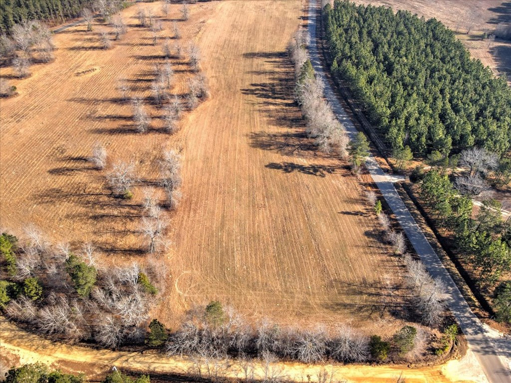 Lot 3 Coleman Bridge Road Aiken, SC 29805 - Photo 5 of 27
