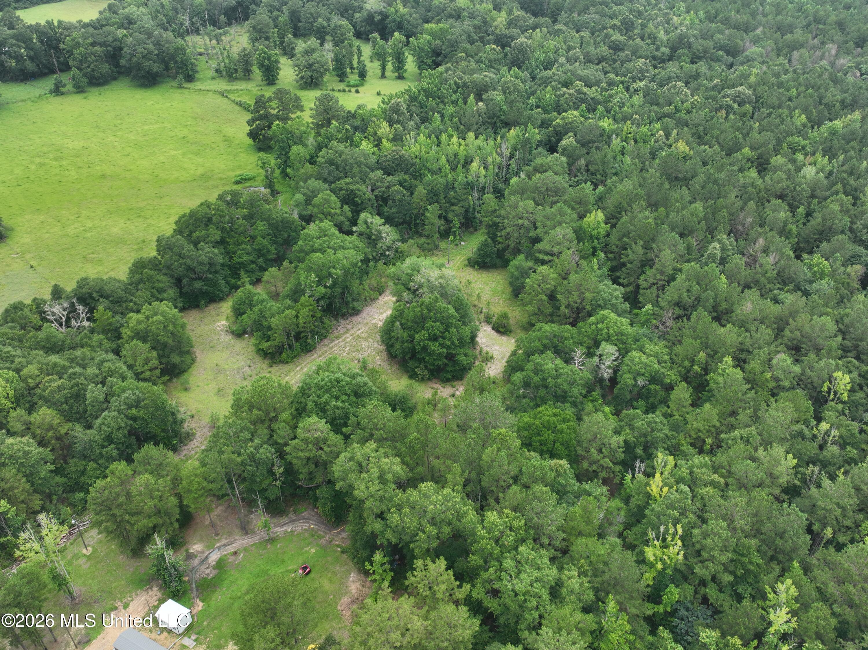 Will Alexander Road Columbia, MS 39429 - Photo 5 of 12 Photo5