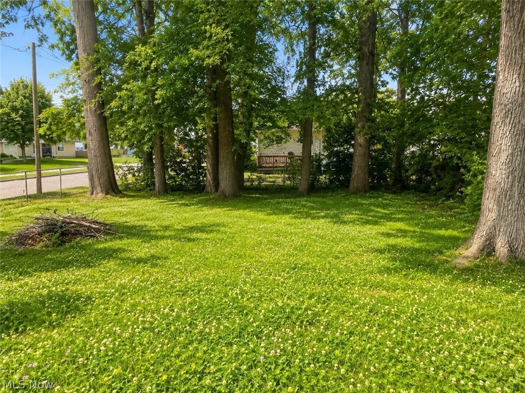 1294 Inman Street Akron, OH 44306 - Photo 22 of 22 Gallery Image 22