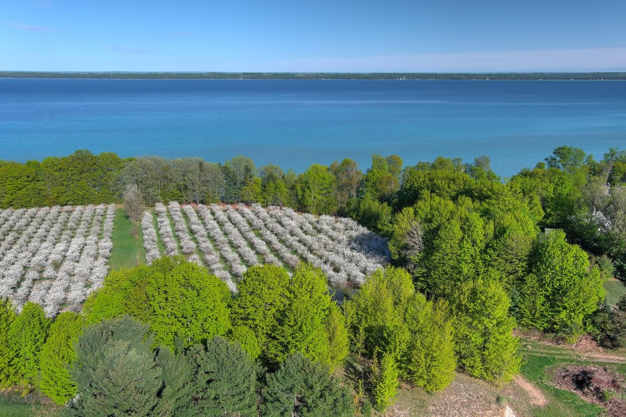 South Lee Point Road Suttons Bay, MI 49682 - Photo 27 of 28
