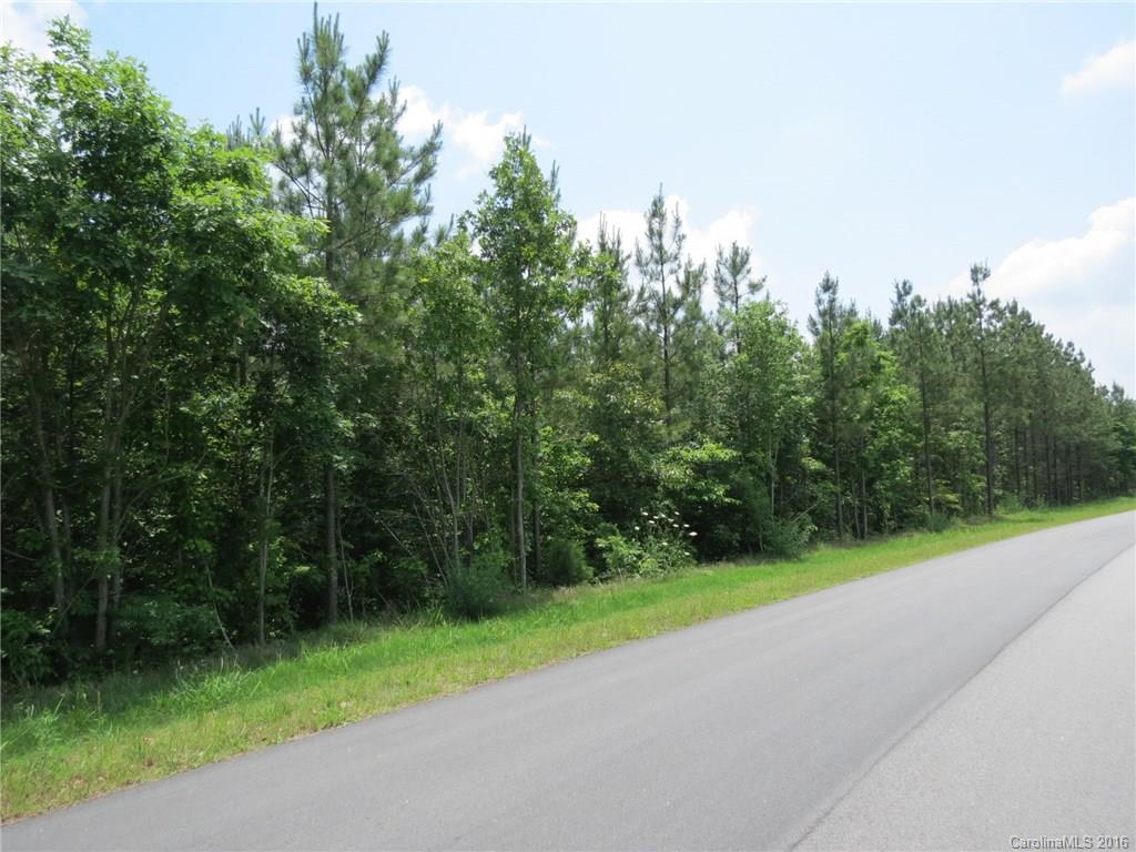 Lot 12 Ranger Road Clover, SC 29710 - Photo 3 of 14