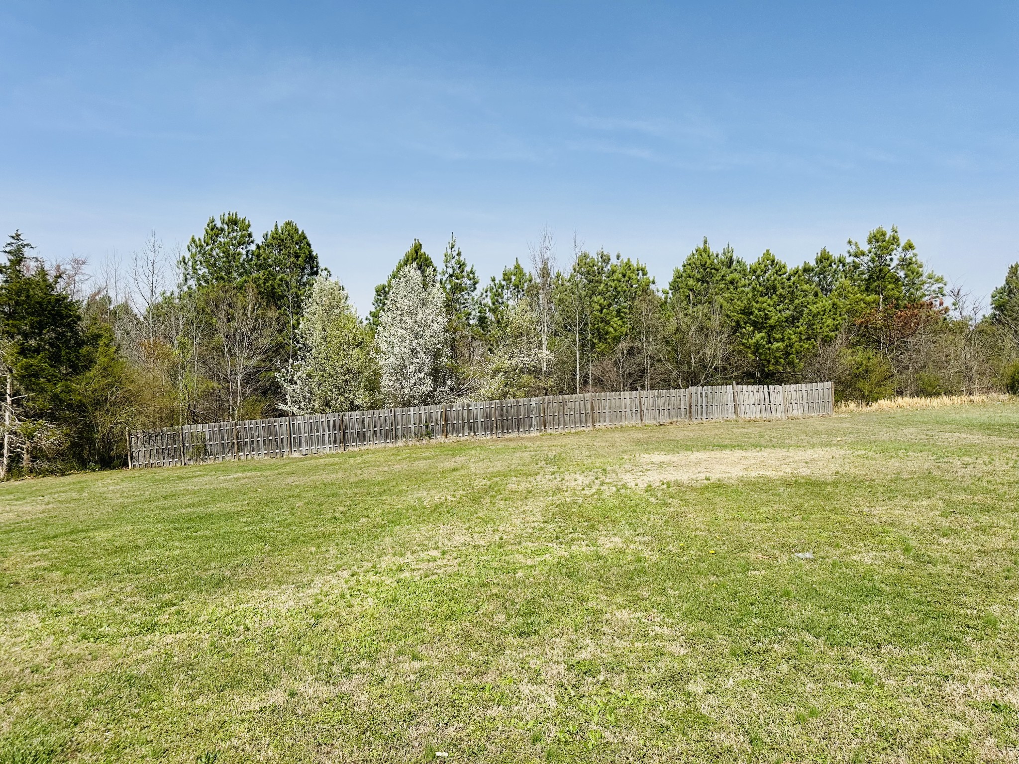 874 Delmont Church Road Cadiz, KY 42211 - Photo 38 of 44