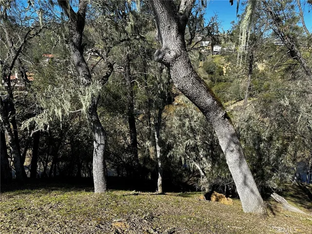 a view of an outdoor space