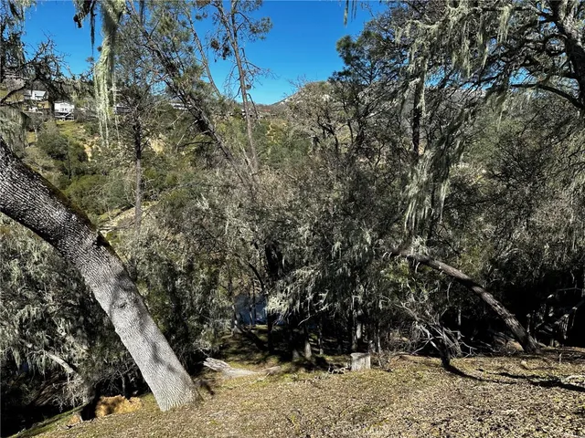 a view of outdoor space yard and tree