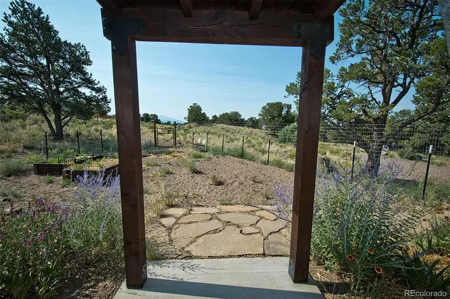 a view of a window in a yard