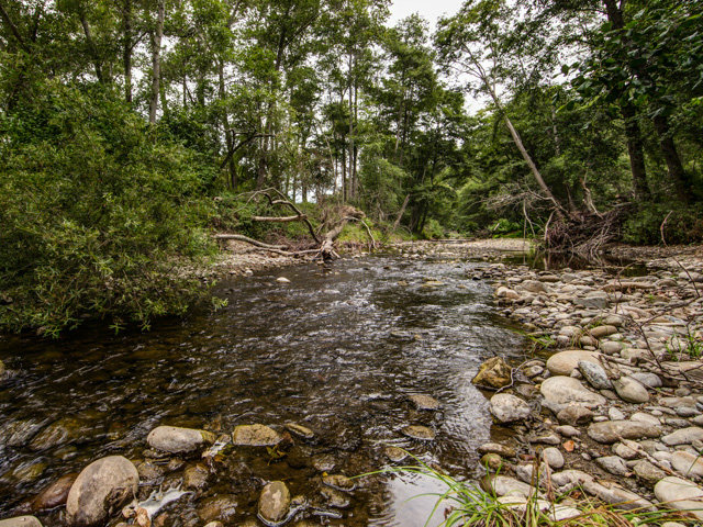Undisclosed Address Soquel, CA 95073 - Photo 12 of 25 a view of a large tree