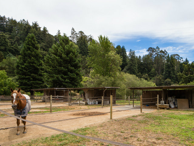 Undisclosed Address Soquel, CA 95073 - Photo 6 of 25 a view of a swimming pool with a patio