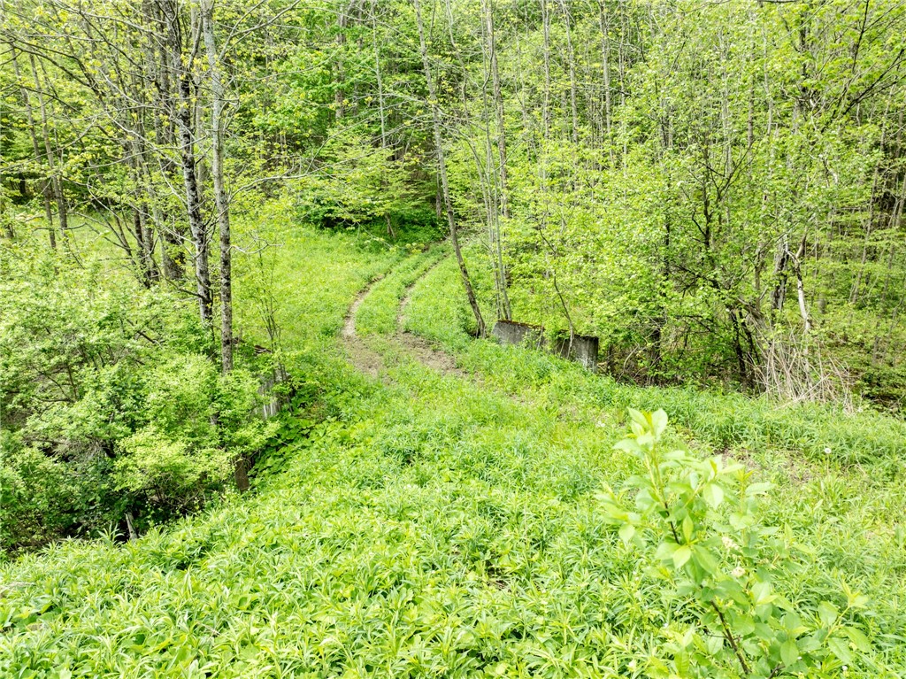 24 County Road New Berlin, NY 13411 - Photo 5 of 19