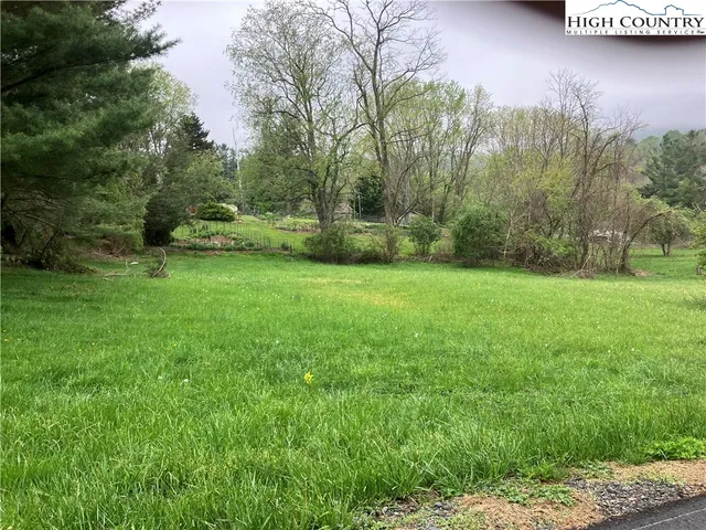 a view of a grassy field with trees in the background