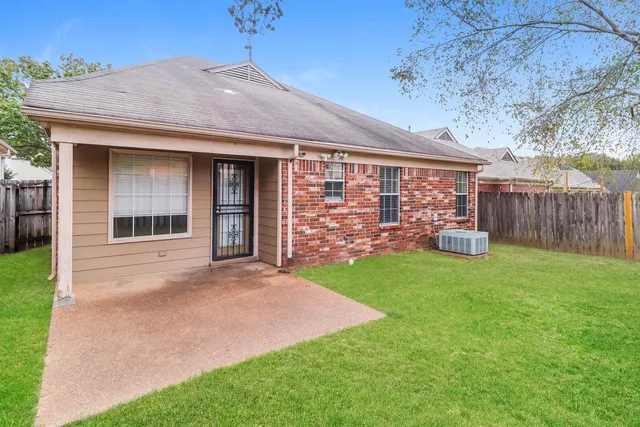 a view of a backyard with plants and large tree