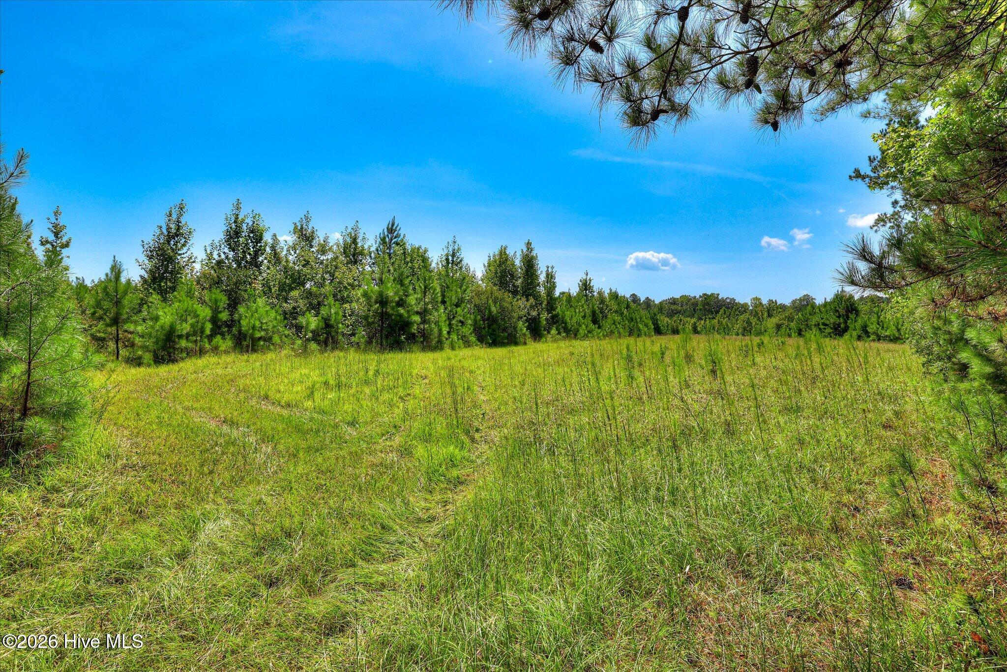 170 Landing Road Jackson, SC 29831 - Photo 24 of 76 Gallery Image 24