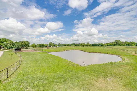a huge green field with lots of trees