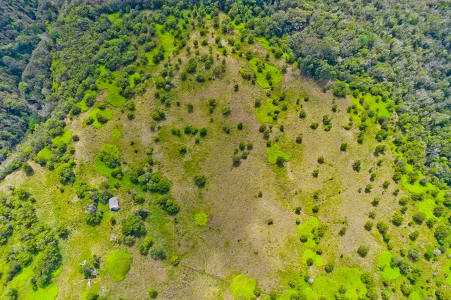 a house with trees in the background