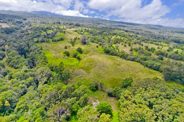 $690,000 | 12 Lot, Laupahoehoe, HI 96764