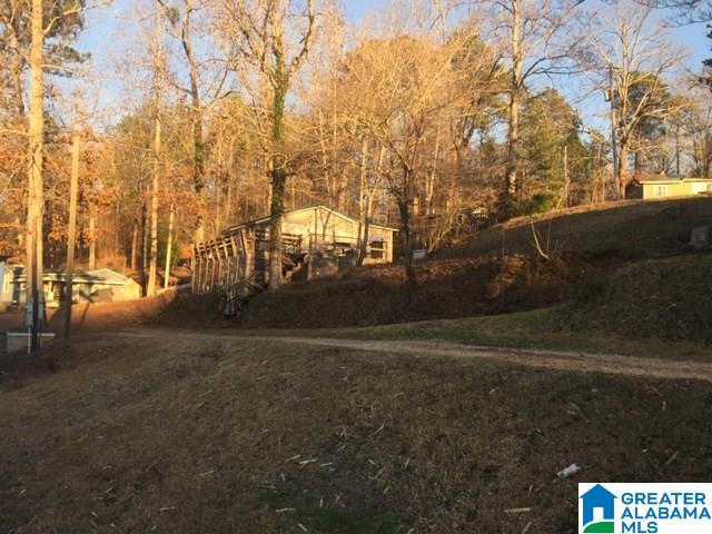 984 Mallard Cove Road Rockford, AL 35136 - Photo 23 of 23