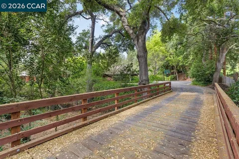 a view of a field with plants and trees