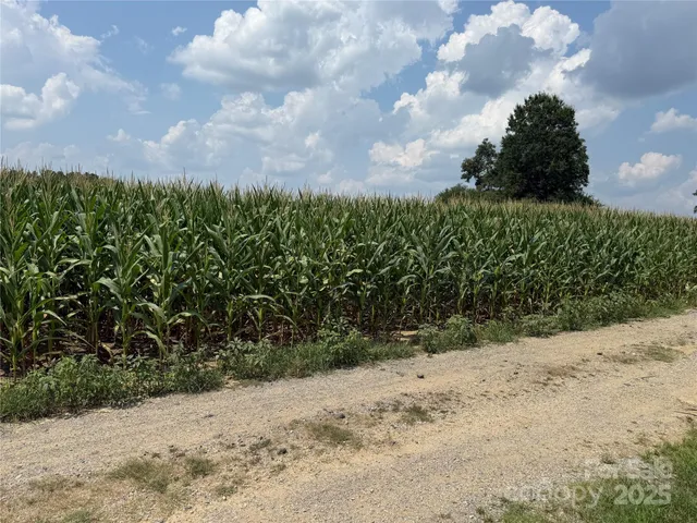 a view of a pathway with a pathway