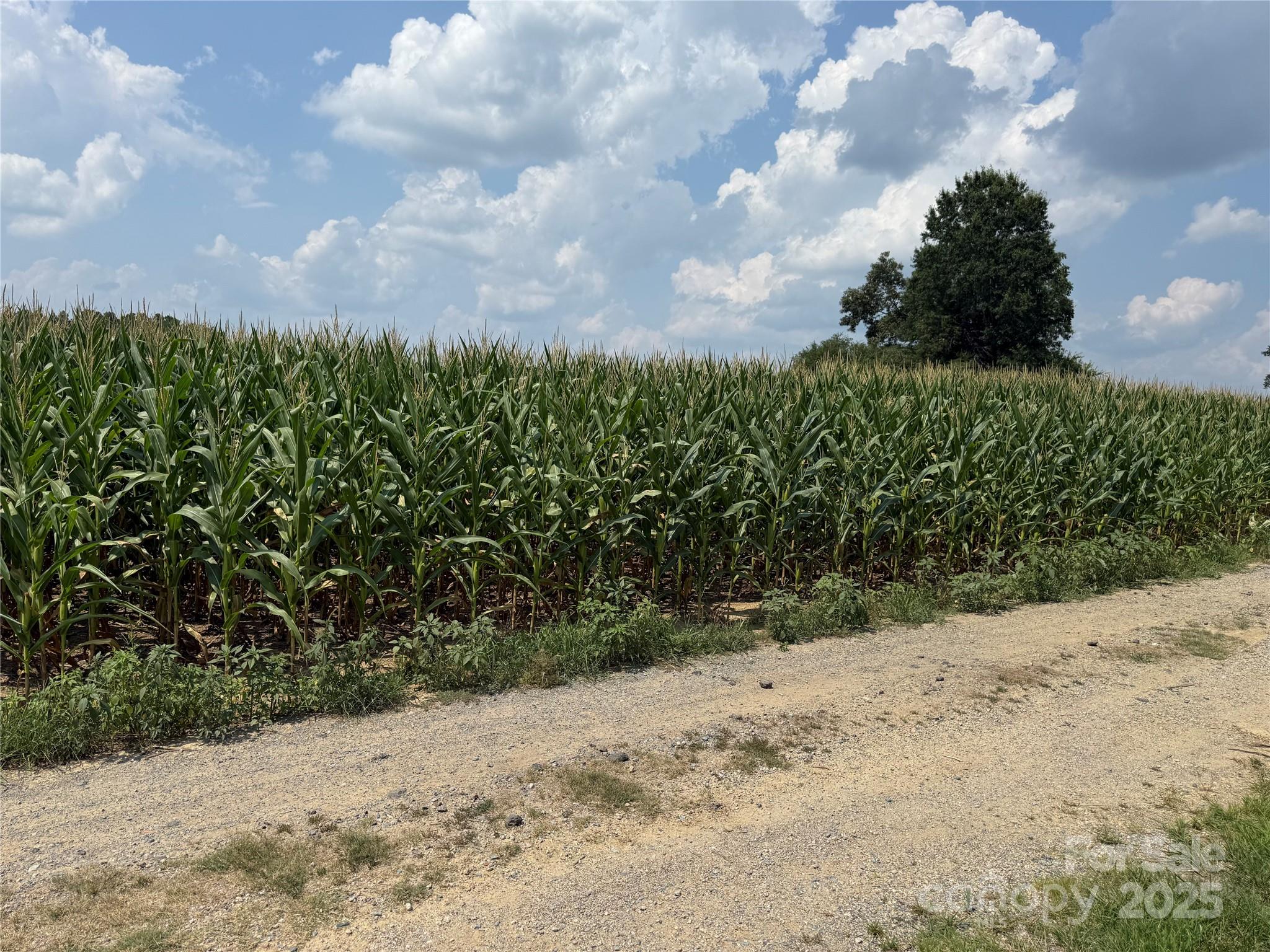 a view of a pathway with a pathway