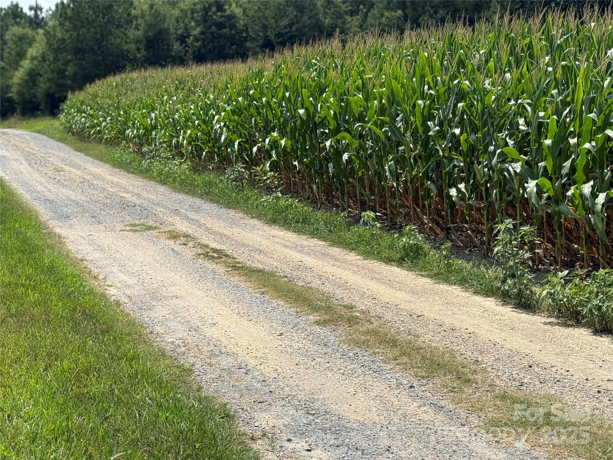 2 Acorn Lane Monroe, NC 28112 - Photo 3 of 4 a view of a garden with a plants