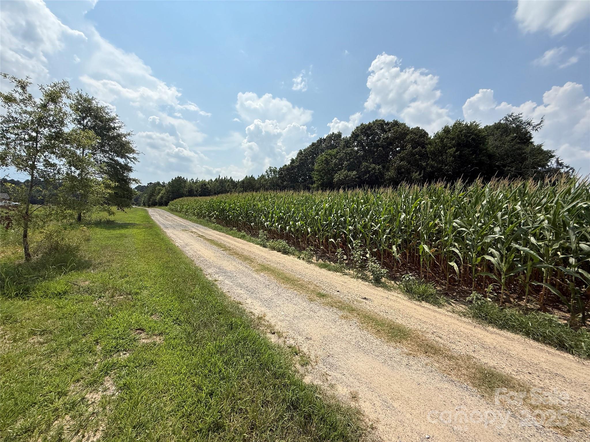 2 Acorn Lane Monroe, NC 28112 - Photo 4 of 4 a view of a street with a houses in the background