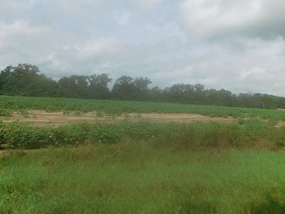 Lot 5 West Cook Road Dothan, AL 36301 - Photo 1 of 1