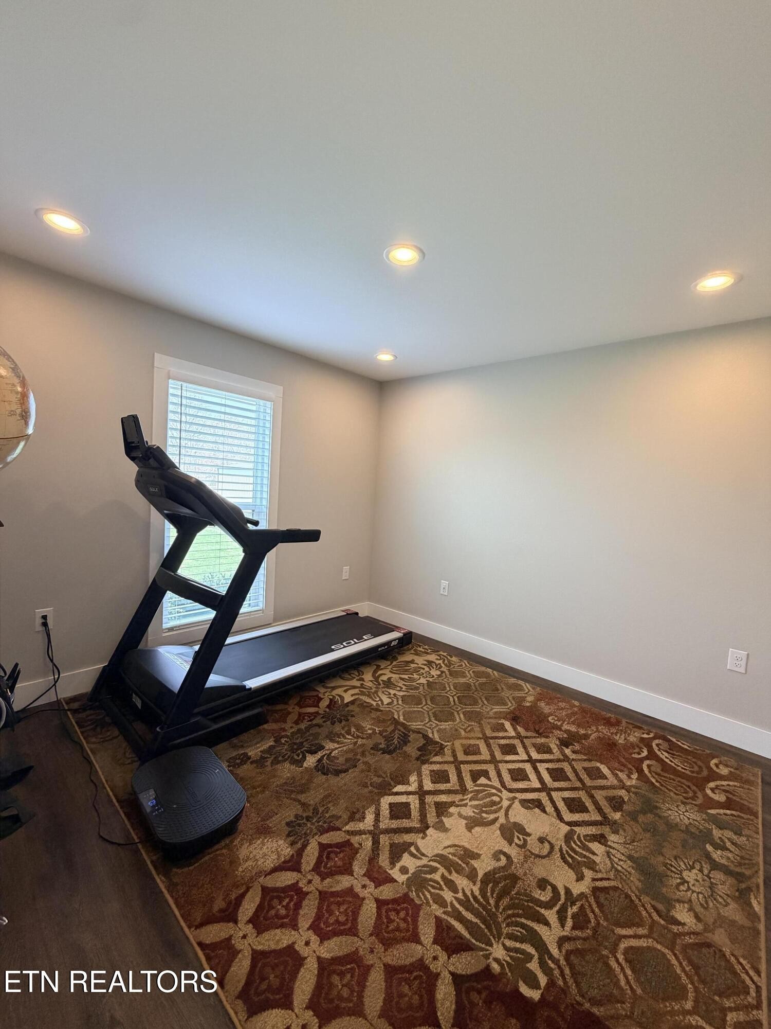 1021 Pleasant Grove Road Winfield, TN 37892 - Photo 38 of 42 a room with gym equipment and a rug
