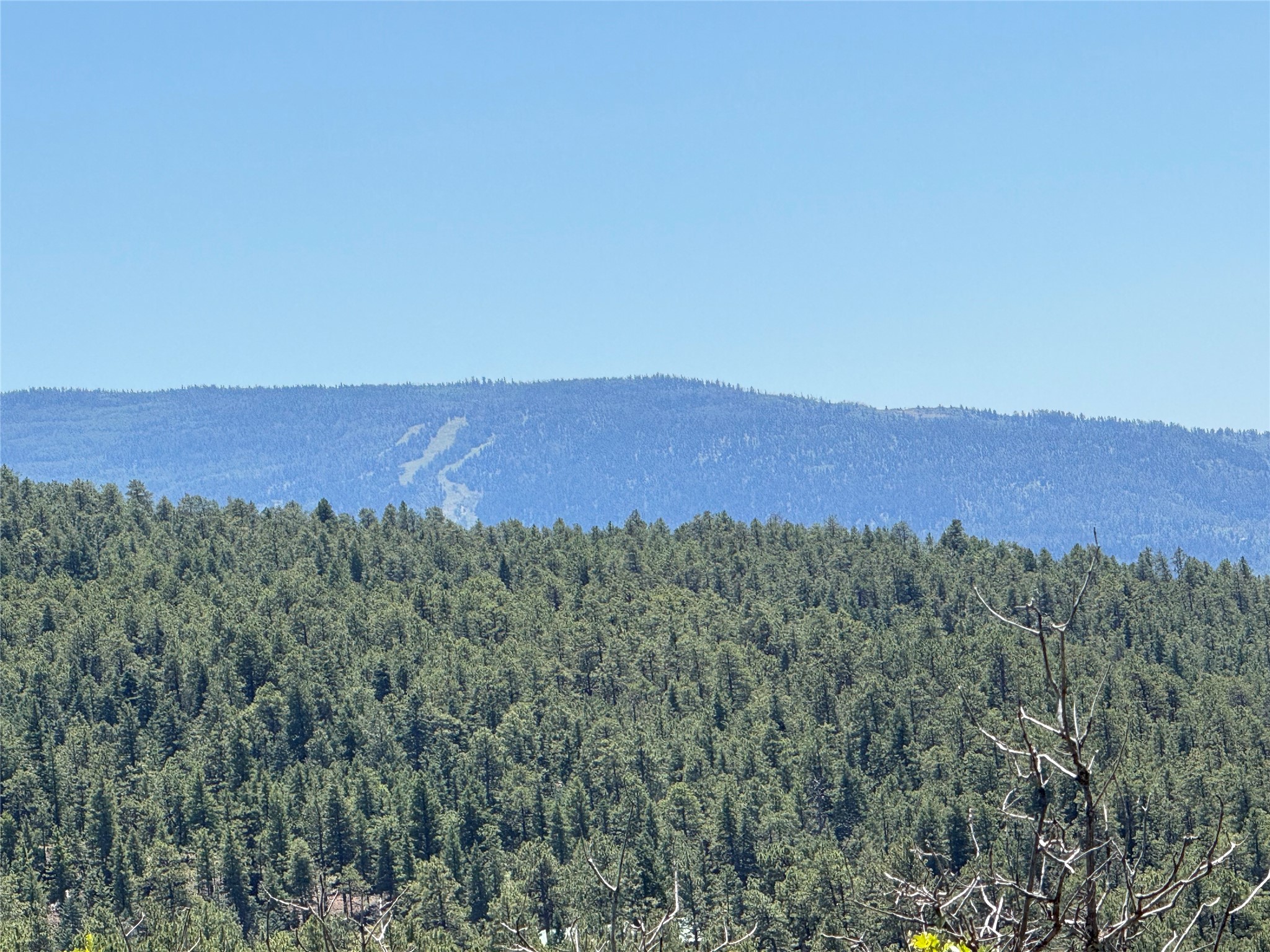 381 Buckman Road Chama, NM 87520 - Photo 16 of 23