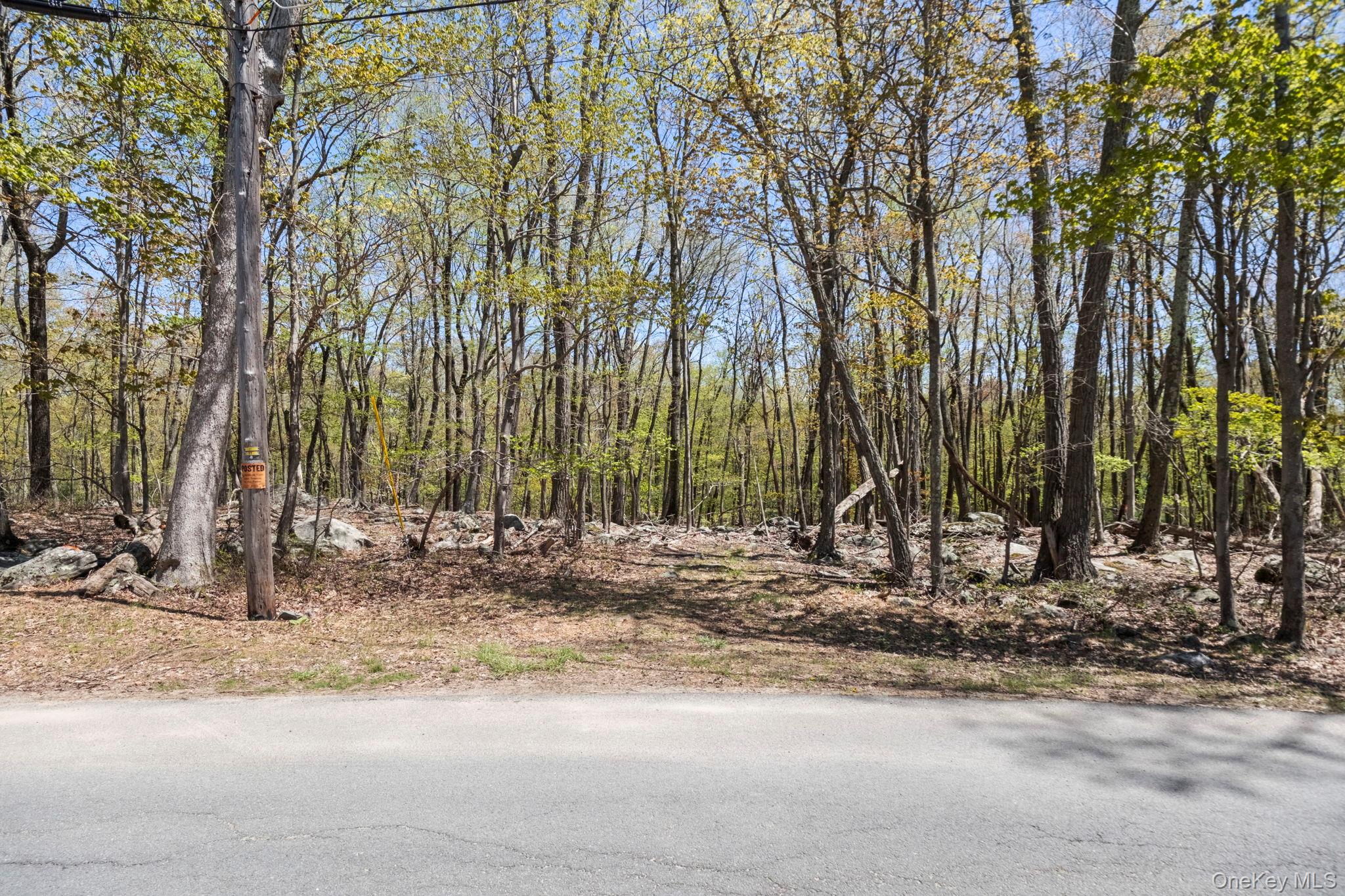Canal Road Wurtsboro, NY 12790 - Photo 9 of 19 a backyard of a house with trees and outdoor seating