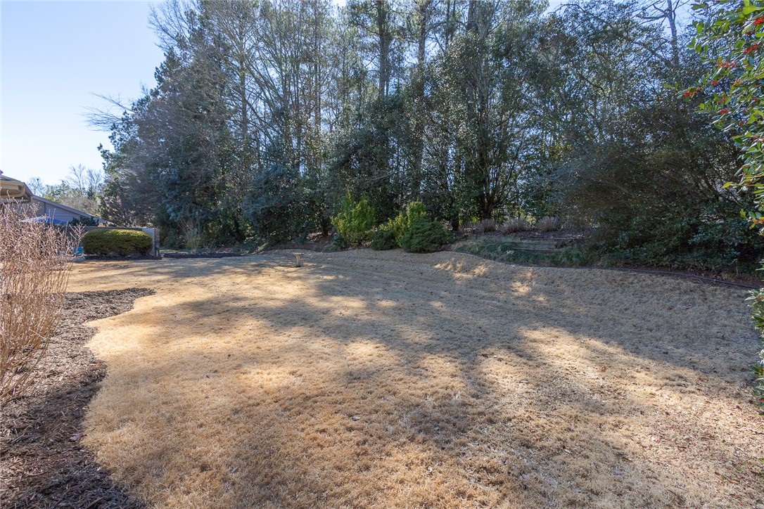 52 Hickory Way Clemson, SC 29631 - Photo 34 of 49 A spacious yard bordered by mature trees and lush greenery.