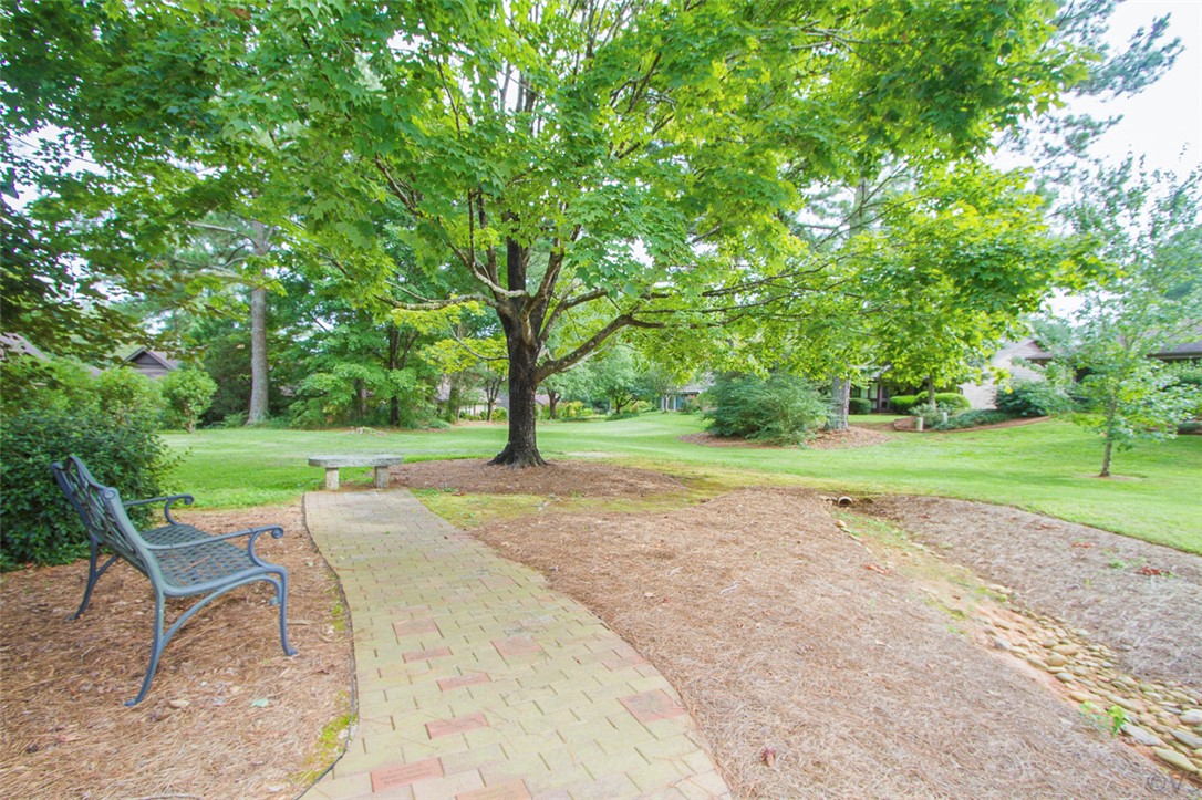 52 Hickory Way Clemson, SC 29631 - Photo 44 of 49 A tranquil green yard with mature trees offers a peaceful outdoor retreat.