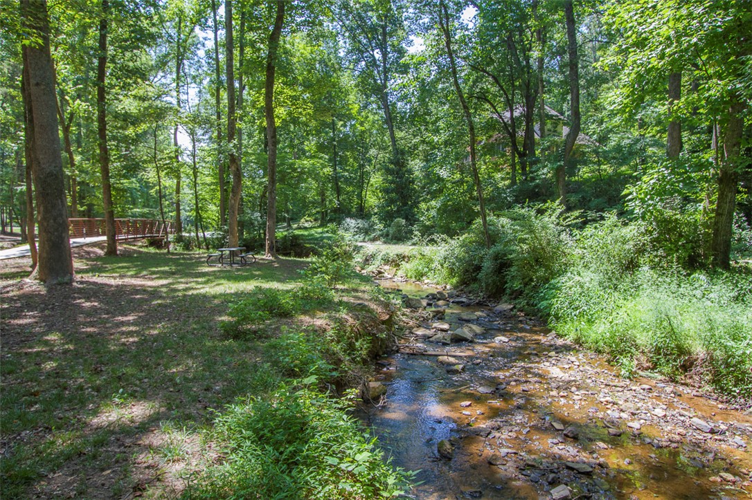 52 Hickory Way Clemson, SC 29631 - Photo 48 of 49 A tranquil creek meanders through a lush, verdant landscape, inviting peaceful outdoor moments.