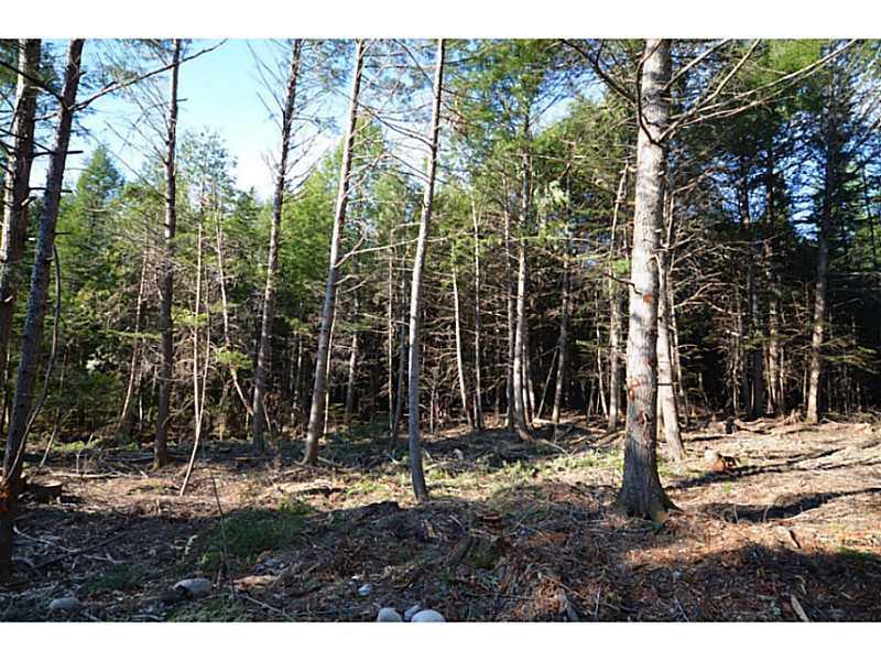 733 Spring Bridge Road Greenbush, ME 04418 - Photo 8 of 20 Land/Lot.