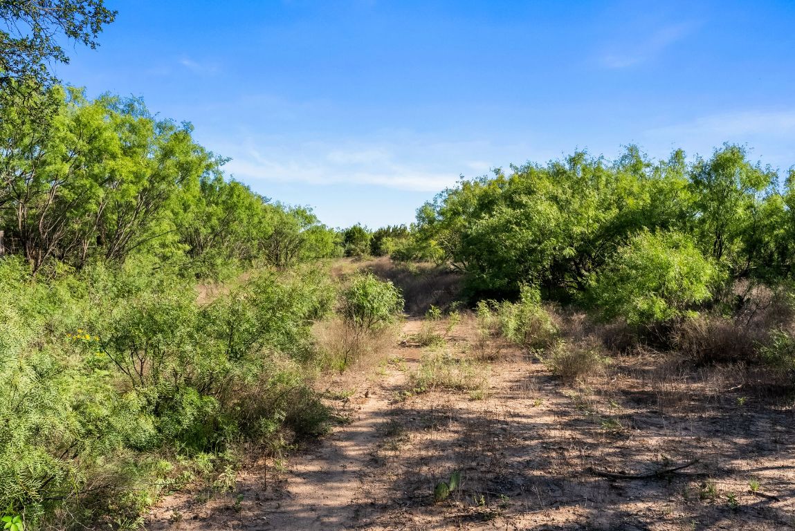 2315 St Rochelle Tx 76872 Rochelle, TX 76872 - Photo 11 of 20 a view of a lake with a yard