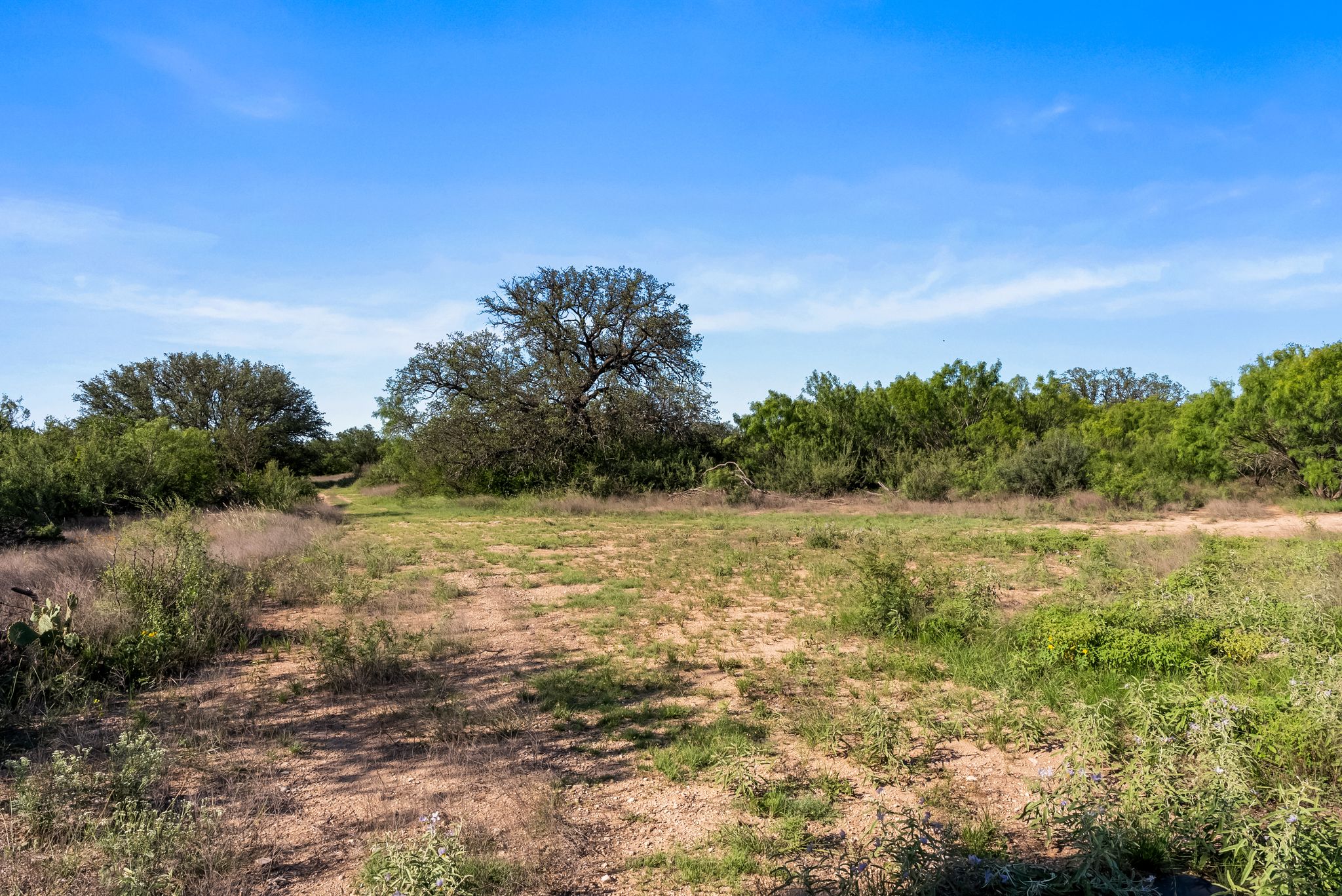 2315 St Rochelle Tx 76872 Rochelle, TX 76872 - Photo 12 of 20 a view of yard with green space