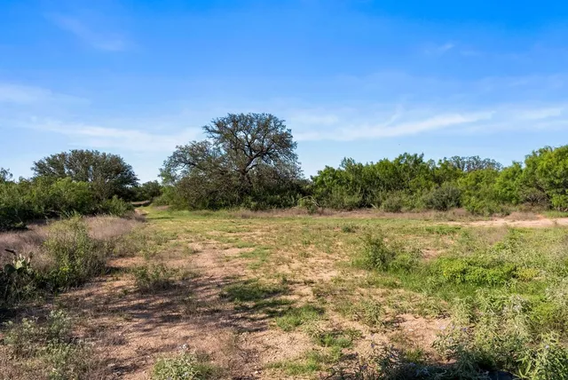 a view of a yard with a tree