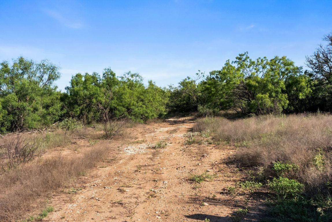 2315 St Rochelle Tx 76872 Rochelle, TX 76872 - Photo 14 of 20 a view of a yard with a tree