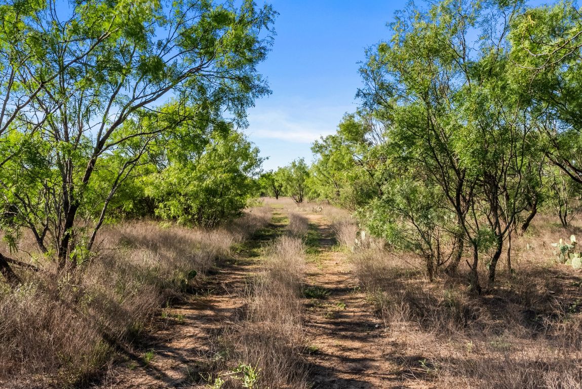 2315 St Rochelle Tx 76872 Rochelle, TX 76872 - Photo 15 of 20 a view of a lake view