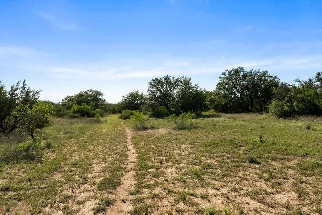 a view of a yard with a tree