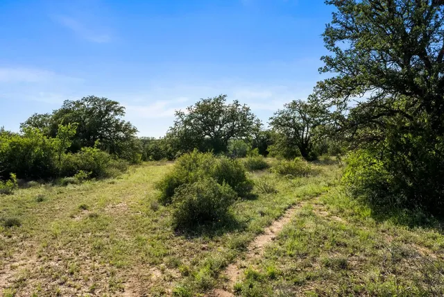 a view of a green field with lots of bushes
