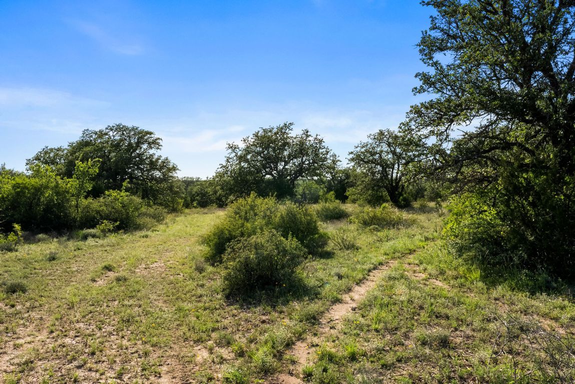 2315 St Rochelle Tx 76872 Rochelle, TX 76872 - Photo 18 of 20 a view of a yard with a tree
