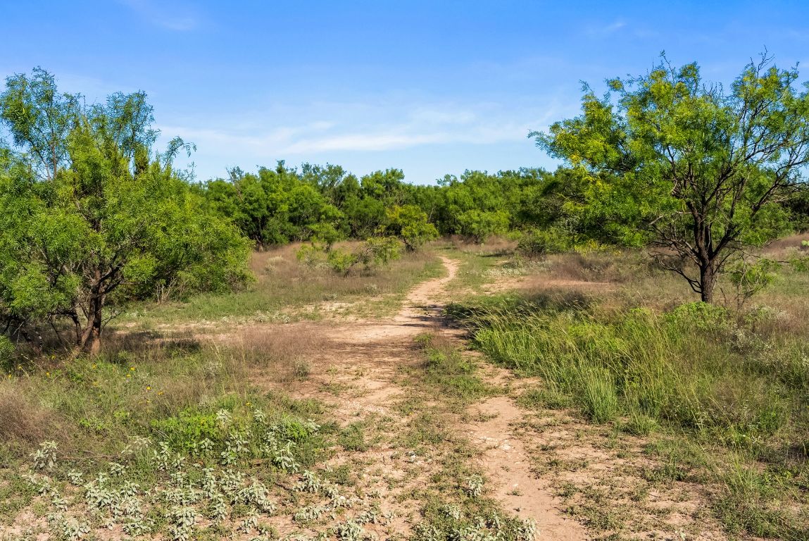 2315 St Rochelle Tx 76872 Rochelle, TX 76872 - Photo 19 of 20 a view of a lake with houses in the back