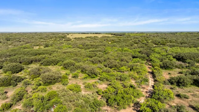a view of a dirt pathway both side of yard