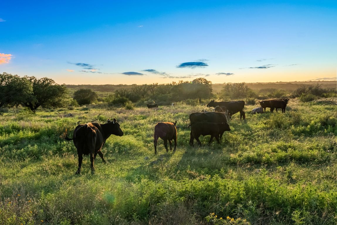 2315 St Rochelle Tx 76872 Rochelle, TX 76872 - Photo 9 of 20 a view of a lake with a mountain