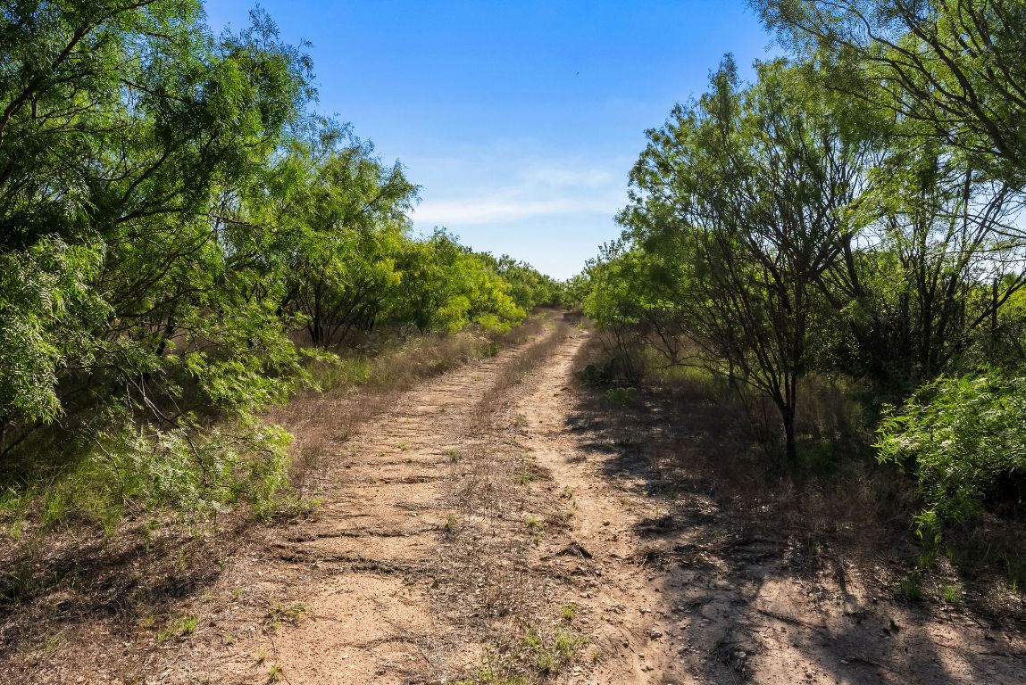 2315 St Rochelle Tx 76872 Rochelle, TX 76872 - Photo 10 of 20 a view of a dirt pathway both side of yard