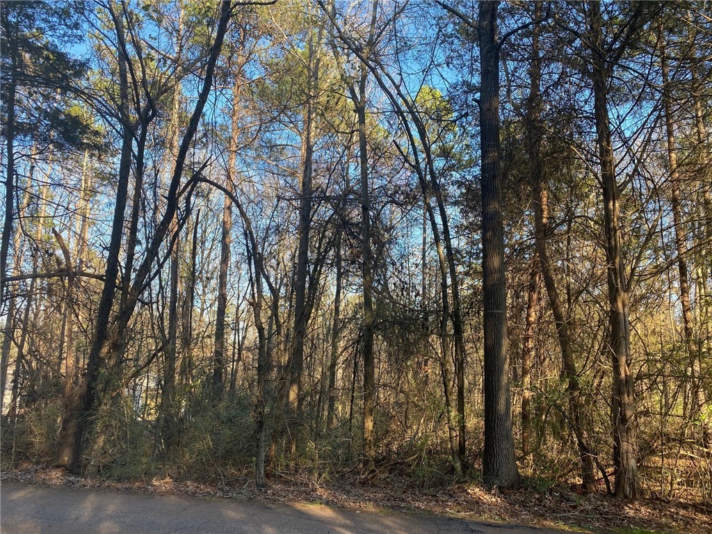 Lot 9 Arnold Road Ridgeville, SC 29472 - Photo 1 of 2