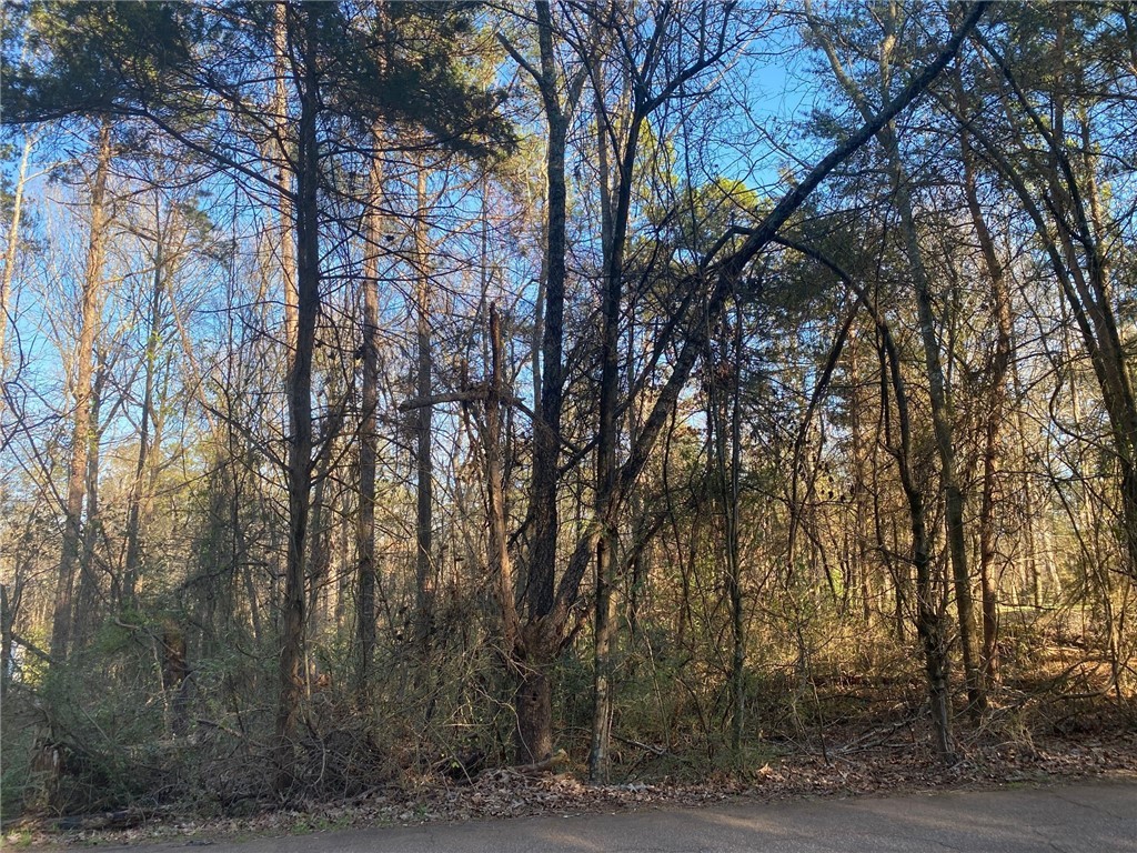 Lot 9 Arnold Road Ridgeville, SC 29472 - Photo 2 of 2